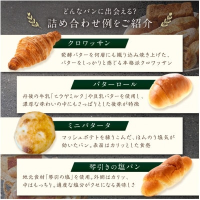 京都丹後のおまかせパン詰め合わせセット 10～12個 飽きのこないやさしい味わい 食事によくあうパン