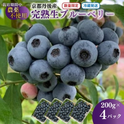 国産 完熟ブルーベリー 生果 200g×4パック(栽培期間中農薬・化学肥料・除草剤不使用) 冷蔵