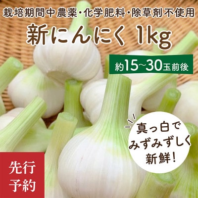 国産 新にんにく1kg(15玉～30玉前後)(栽培期間中農薬・化学肥料・除草剤不使用)