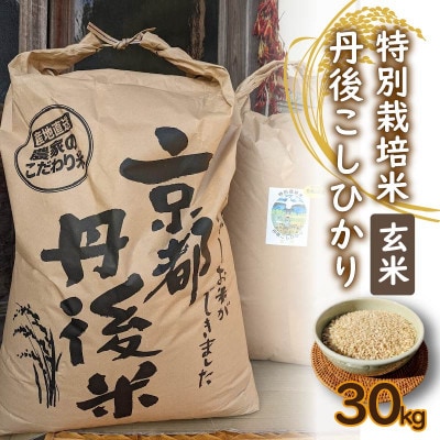 数量限定 一等検査米】令和3年度産 京都 丹後 玄米 コシヒカリ 30kg