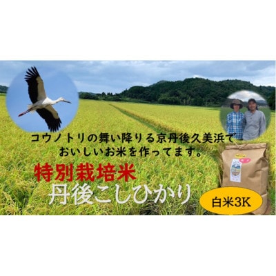 【先行予約】令和7年産 丹後こしひかり 白米3kg【特別栽培米】 精米