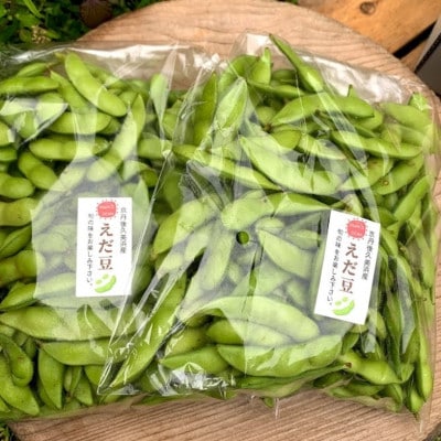 【数量限定】朝採り枝豆(湯上り娘)500g(250g×2パック)