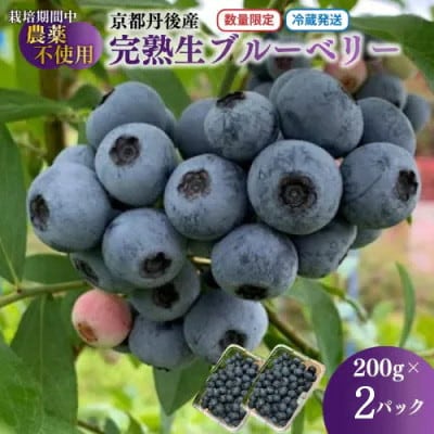 国産 完熟ブルーベリー 生果 200g×2パック(栽培期間中農薬・化学肥料・除草剤不使用) 冷蔵
