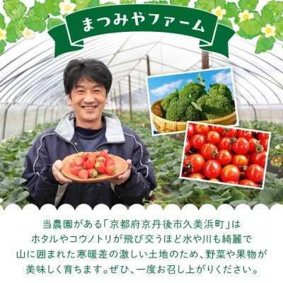 【先行予約】もりもり!ブロッコリー約2kg　2025年11月中旬～順次発送 国産ブロッコリー9株程度