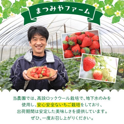 【特選】京都・まつみやファームの大粒いちご(あきひめイチゴ)15～20粒(2026年2月中旬～発送)
