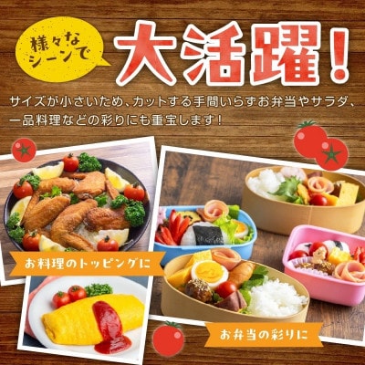 【訳あり】宝石のような輝き!カラフルミニトマト 約1.5kg(春夏)　2025年5月下旬～順次発送