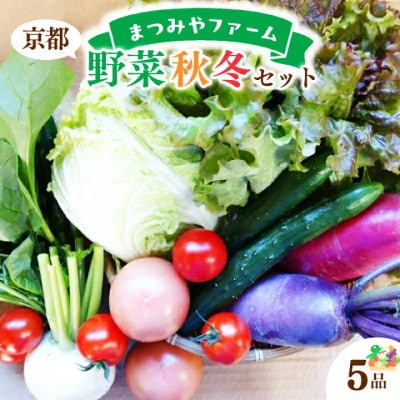 【先行予約】京都・まつみやファームの京都の野菜秋冬セット(5品)(2025年11月中旬～発送予定)