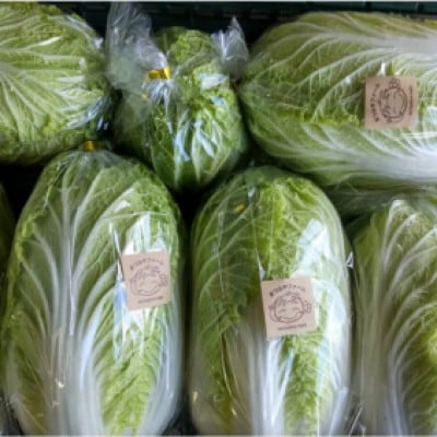 【先行予約】京都・まつみやファームの京都の野菜秋冬セット(5品)(2025年11月中旬～発送予定)