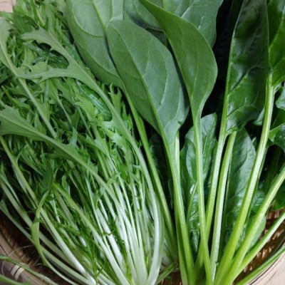 【先行予約】京丹後冬鍋野菜セット(2026年11月上旬～発送)