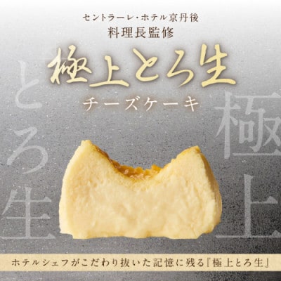 ホテル料理長監修/極上とろ生チーズケーキ(プレーン) 470g  レアチーズケーキのようなとろ生食感