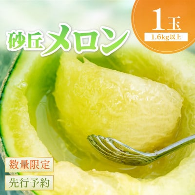 【先行予約】京丹後産 砂丘メロン 大玉2L以上 1玉(2025年7月下旬～発送)