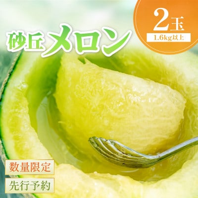 【先行予約】京丹後産 砂丘メロン 大玉2L以上 2玉(2025年7月下旬～発送)