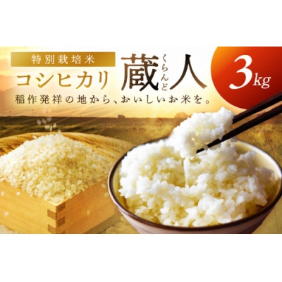 【農家直送】令和7年産 特別栽培米コシヒカリ 蔵人(くらんど) 精米3kg