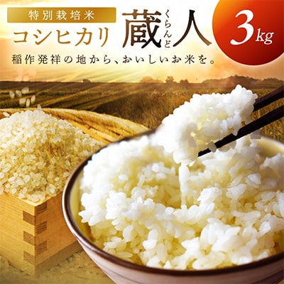 【農家直送】令和7年産 特別栽培米コシヒカリ 蔵人(くらんど) 精米3kg