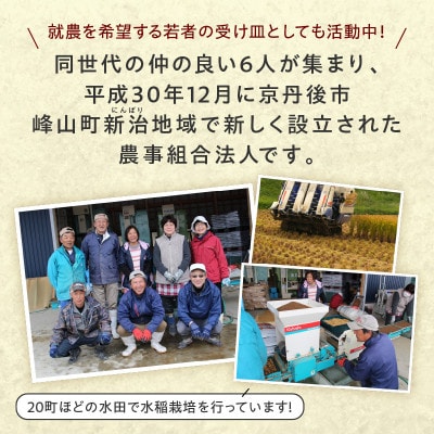 【農家直送】令和7年産 特別栽培米コシヒカリ 蔵人(くらんど) 精米10kg