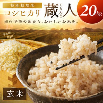 【農家直送】令和8年産 特別栽培米コシヒカリ 蔵人(くらんど) 玄米20kg