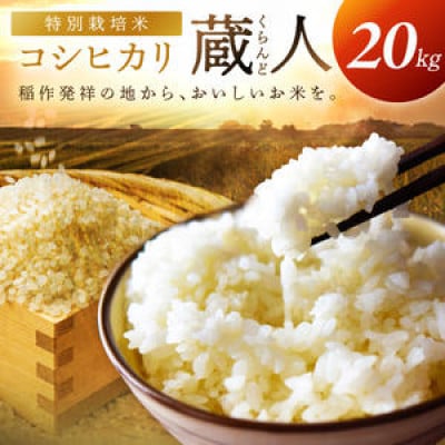 【農家直送】令和8年産 特別栽培米コシヒカリ 蔵人(くらんど) 精米20kg