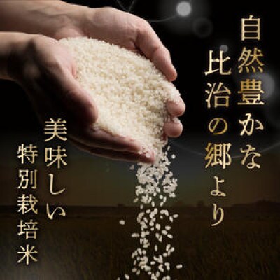【農家直送】令和8年産 特別栽培米コシヒカリ 蔵人(くらんど) 精米20kg