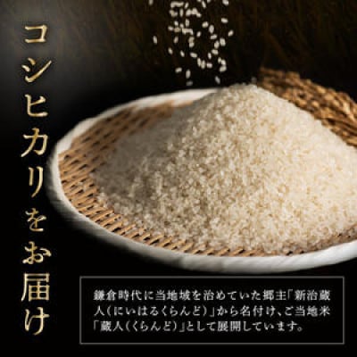 【農家直送】令和8年産 特別栽培米コシヒカリ 蔵人(くらんど) 精米20kg