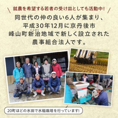 【農家直送】令和8年産 特別栽培米コシヒカリ 蔵人(くらんど) 精米20kg