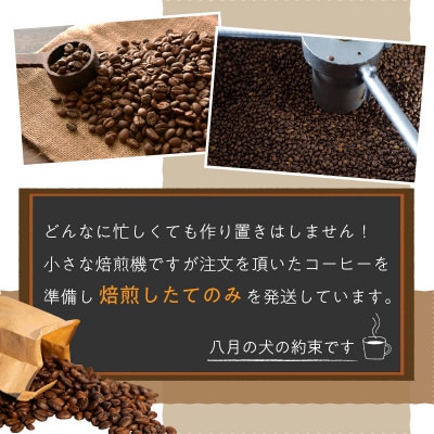 【栽培期間中農薬不使用】自家焙煎コーヒー豆 お試しセット(100gx3種)<中挽き> 小分け
