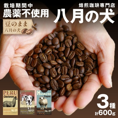 【栽培期間中農薬不使用】自家焙煎コーヒー豆 お試しセット(200gx3種)<豆のまま> 小分け