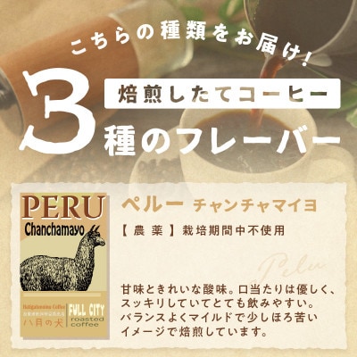 【栽培期間中農薬不使用】自家焙煎コーヒー豆 お試しセット(200gx3種)<豆のまま> 小分け