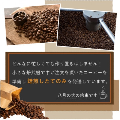 【栽培期間中農薬不使用】自家焙煎コーヒー豆 お試しセット(200gx3種)<豆のまま> 小分け