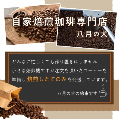 【アイスコーヒー用】自家焙煎アイスコーヒー用ブレンドコーヒー豆 500g(250g×2)＜中挽き＞