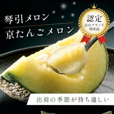 【京のブランド産品】 京たんごメロン 琴引メロン 1玉 LAサイズ 1.45～1.65kg 高糖度