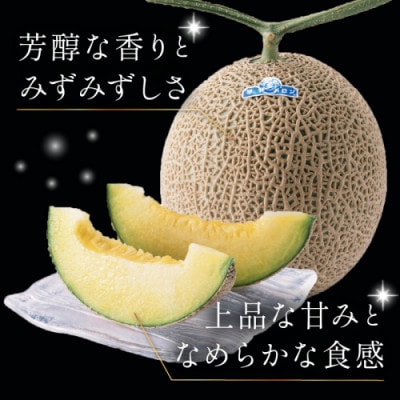 【京のブランド産品】 京たんごメロン 琴引メロン 1玉 LAサイズ 1.45～1.65kg 高糖度