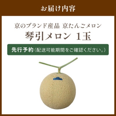 【京のブランド産品】 京たんごメロン 琴引メロン 1玉 LAサイズ 1.45～1.65kg 高糖度
