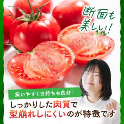 京都 京丹後産・京トマト 2kg(8～10玉) 春夏発送