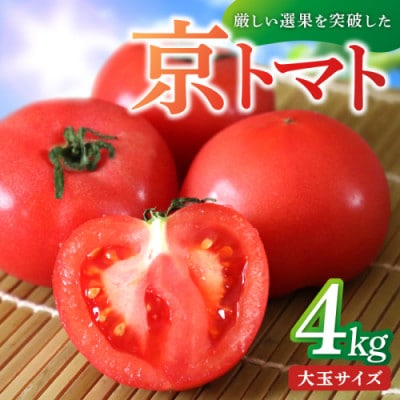 京丹後産・京トマト 4kg(12～24玉) 春夏発送