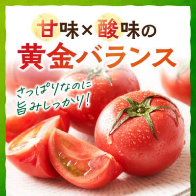 京丹後産・京トマト 4kg(12～24玉) 春夏発送