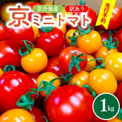 京丹後産・京ミニトマト 1kg