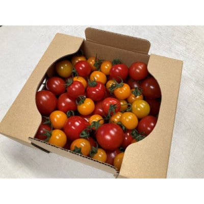 京丹後産・京ミニトマト 1kg