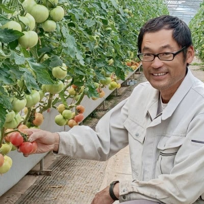 京丹後産・京ミニトマト 1kg