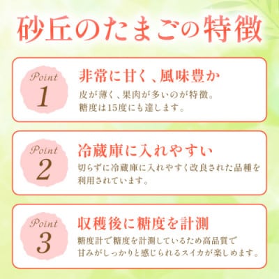 砂丘のたまご(小玉スイカ) 1玉(2025年6月中旬～発送) 高糖度なすいか