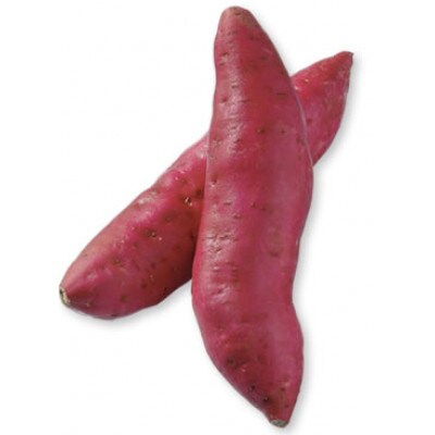 京都　京丹後市産　甘藷(さつまいも(金時芋)) 5kg(2026年12月上旬～発送)