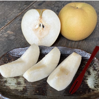 京都 京丹後産・大玉 新興梨 5kg(6玉～10玉)(2026年10月中旬から発送)