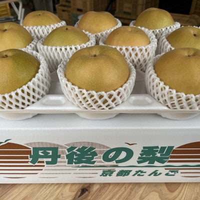 京都 京丹後産・大玉 新興梨 5kg(6玉～10玉)(2026年10月中旬から発送)