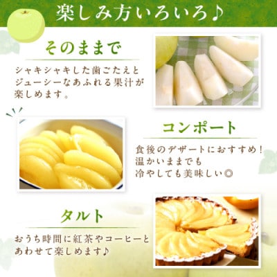 【先行予約/数量限定】20世紀梨 5kg(2026年9月上旬～発送)