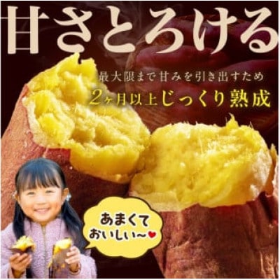 【さつまいもオブザイヤー2年連続受賞】 紅はるか 土付き10kg 竹田農園熟成 焼き芋 濃厚とろり蜜