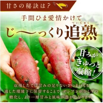 【さつまいもオブザイヤー2年連続受賞】 紅はるか 土付き10kg 竹田農園熟成 焼き芋 濃厚とろり蜜