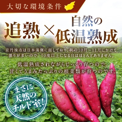 【さつまいもオブザイヤー2年連続受賞】 紅はるか 土付き5kg 竹田農園 熟成 焼き芋 濃厚とろり蜜