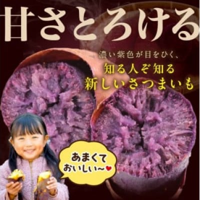 【さつまいもオブザイヤー2年連続受賞】ふくむらさき 土付き3kg 竹田農園 熟成 しっとり系の紫いも