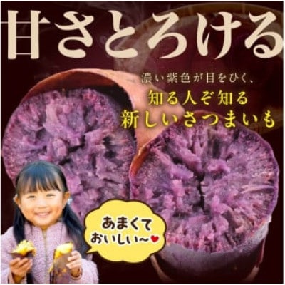 【さつまいもオブザイヤー2年連続受賞】ふくむらさき 土付き10kg 竹田農園熟成 しっとり系の紫いも