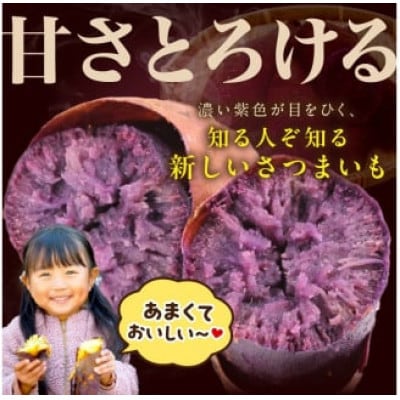 【さつまいも日本一W受賞】紅はるか・ふくむらさき 計5㎏ 竹田農園 さつまいもオブザイヤー連続受賞