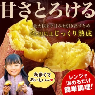 【さつまいもオブザイヤー2年連続受賞】 紅はるか 土付き5kg 竹田農園 熟成 焼き芋 濃厚とろり蜜